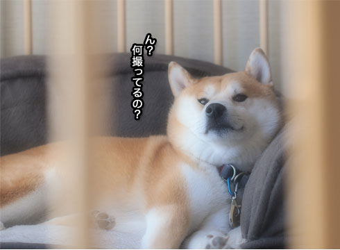 14日ブログ6.jpg