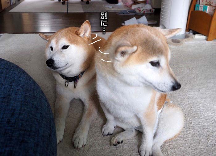 29日夕ブログ４