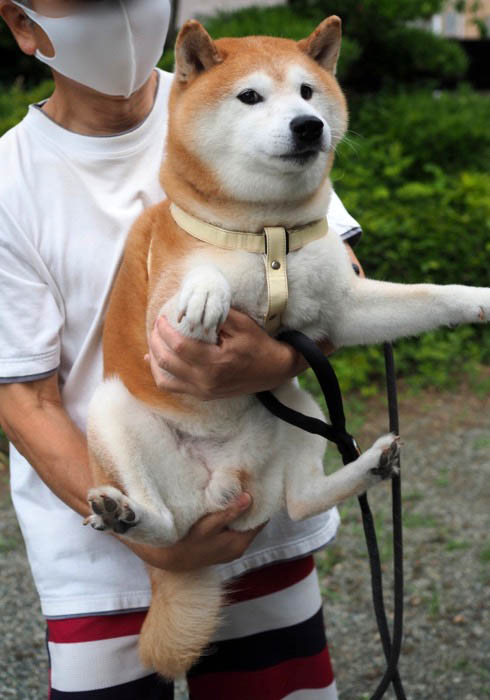 7日夜ブログ４