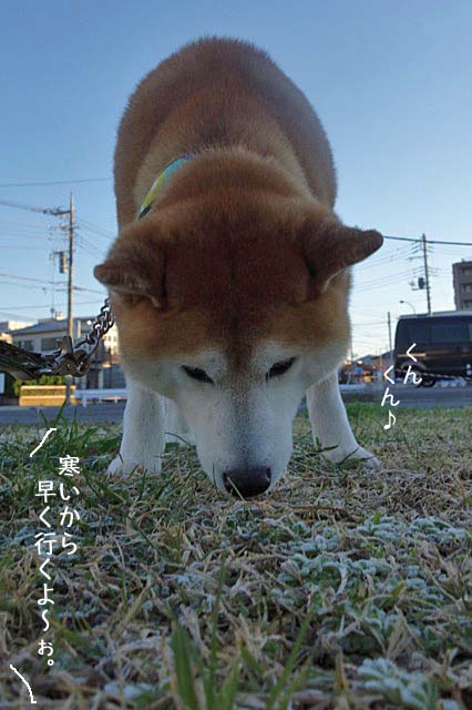 14日ブログ2