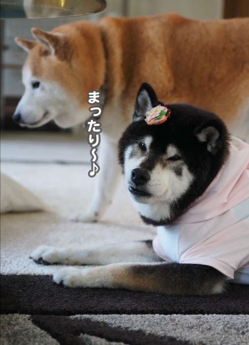 24日夕ブログ７