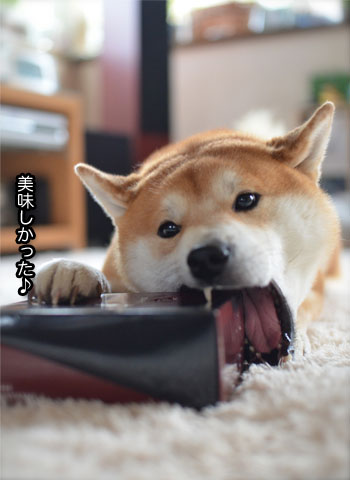 9日ブログ8.jpg