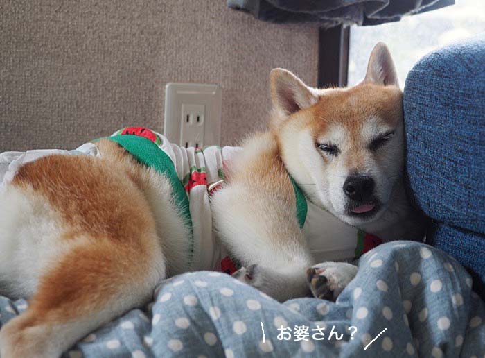 25日ブログ２
