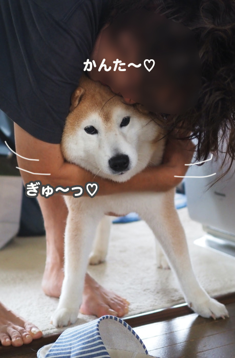 6日夕ブログ９