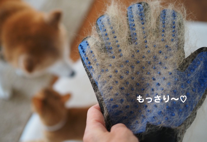 23日夕ブログ３