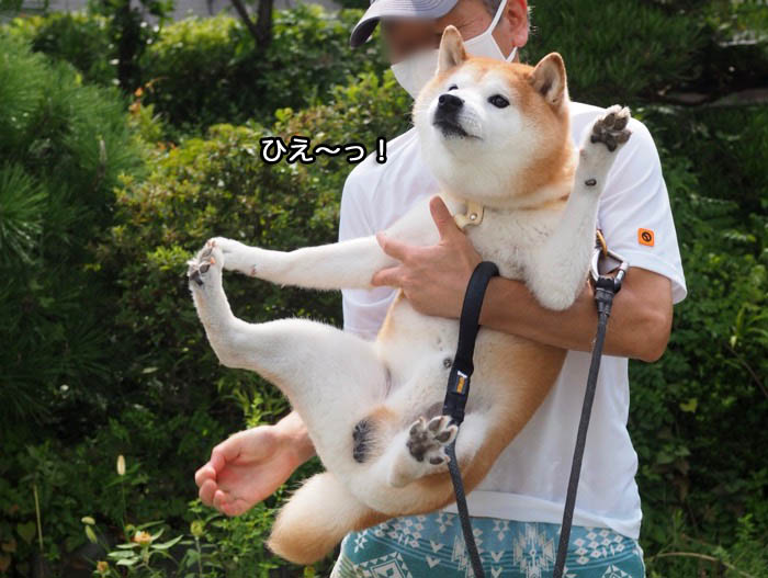 24日午後ブログ３
