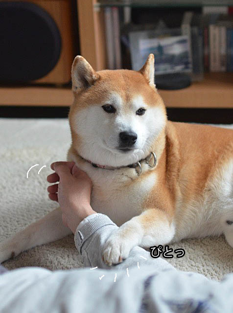 1日ブログ2