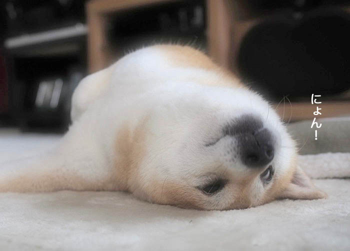 29日ブログ８