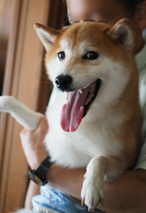 12日ブログ６