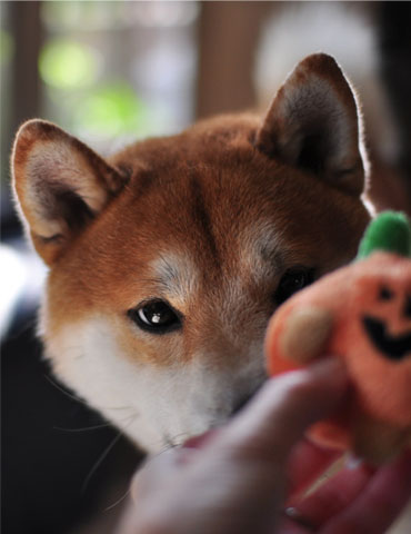 31日ブログ11.jpg