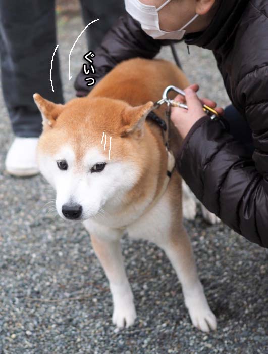 27日ブログ５