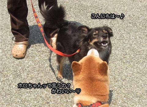 22日ブログ3.jpg