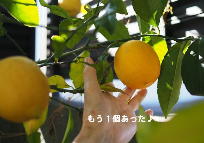 8日午前ブログ４