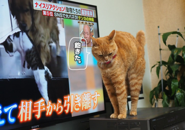 15日夕ブログ１０