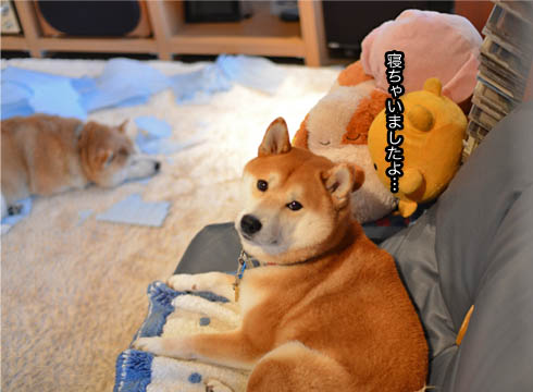 26日ブログ7.jpg