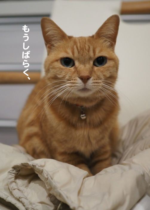 21日夜ブログ５