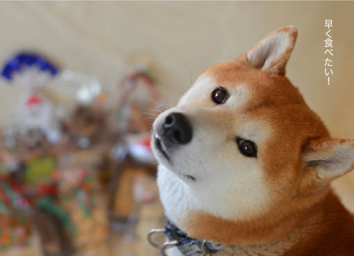 25日ブログ7.jpg