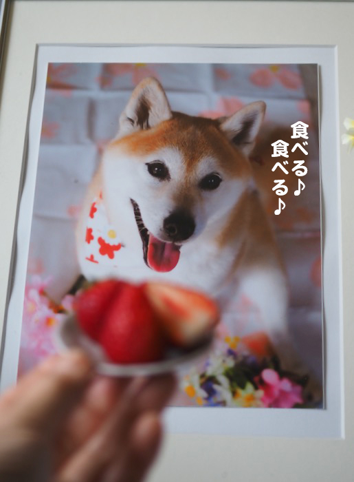 13日夕ブログ８