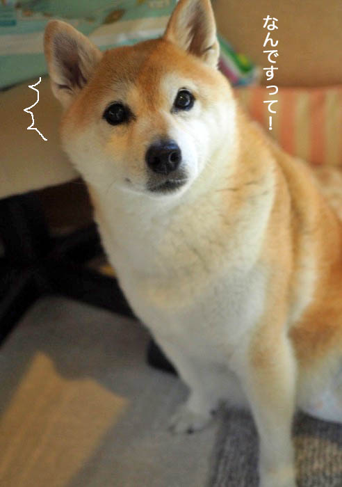 23日夜ブログ４