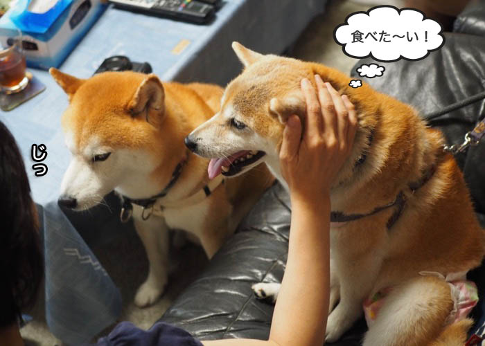 25日ブログ１８