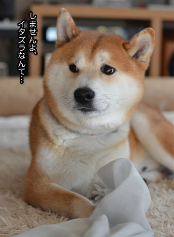 28日ブログ6.jpg