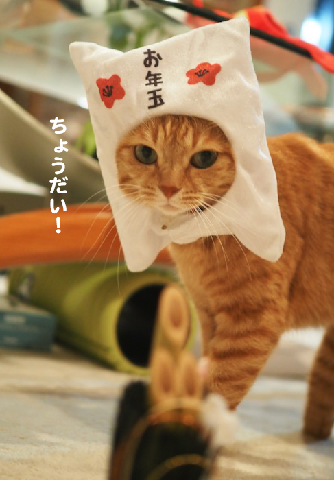 1日夕ブログ3