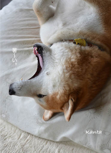 26日ブログ4.jpg