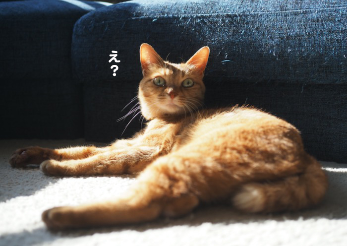 28日ブログ３