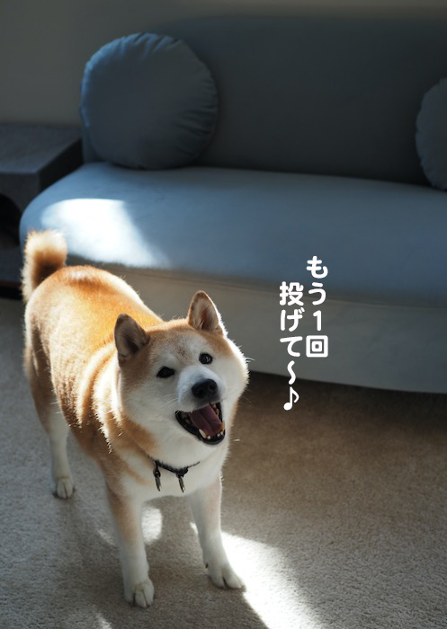 2日夕ブログ７