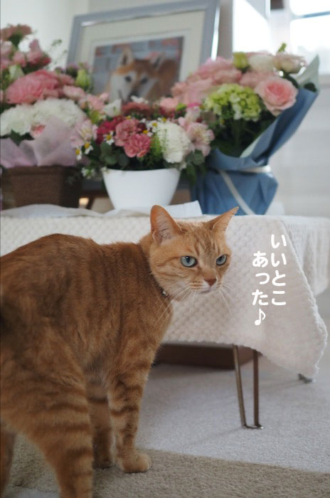 15日夕ブログ２