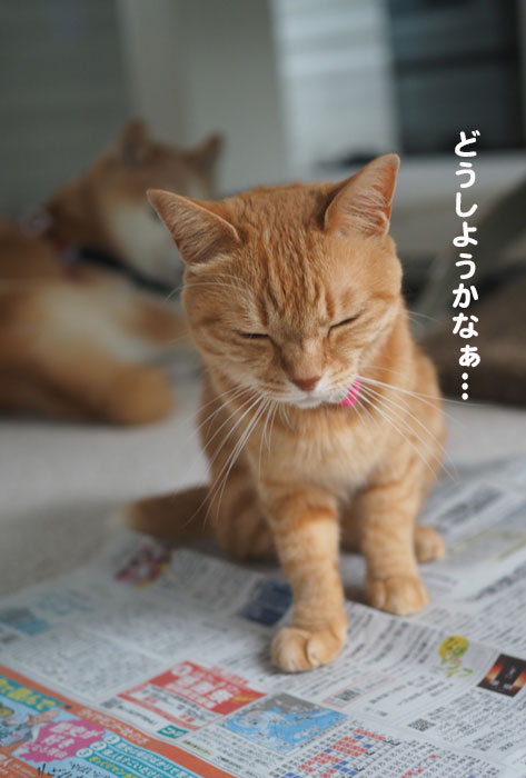 ９日ブログ１