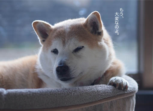 20日ブログ4.jpg