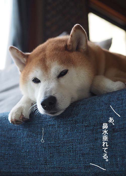 30日午後ブログ２