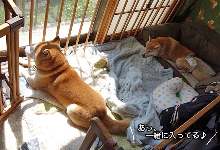 10日ブログ１