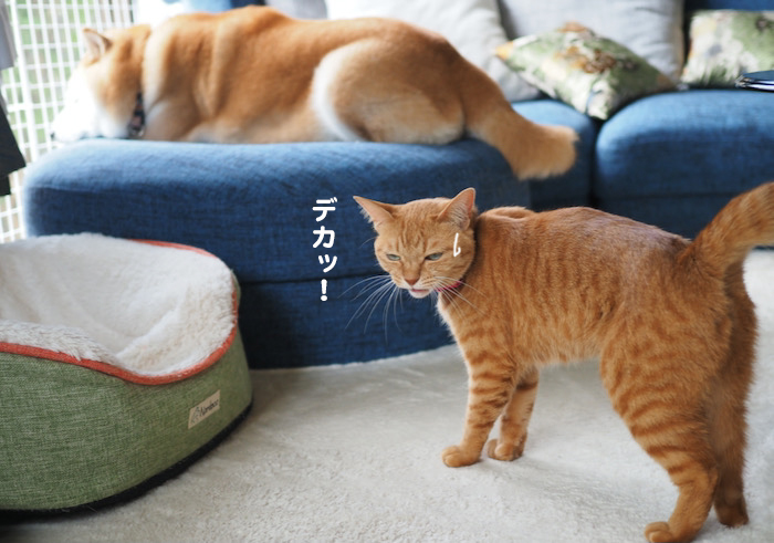 1日のブログ３