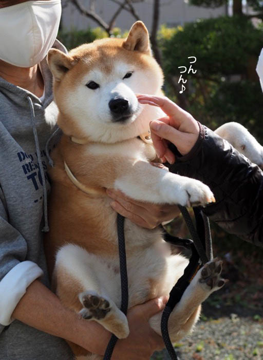 9日夜ブログ９