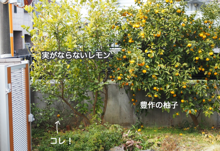 23日夜ブログ２