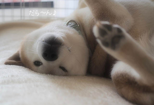 21日ブログ3