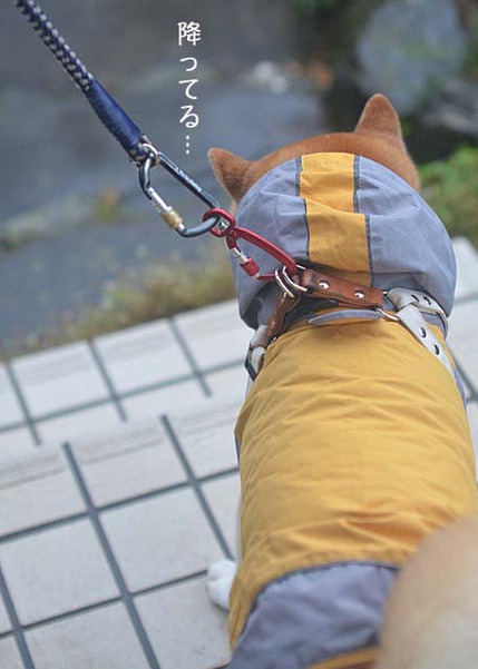 28日ブログ8