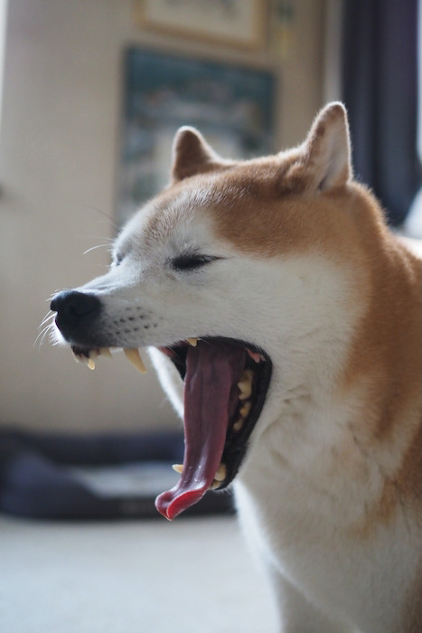 3日ブログ３