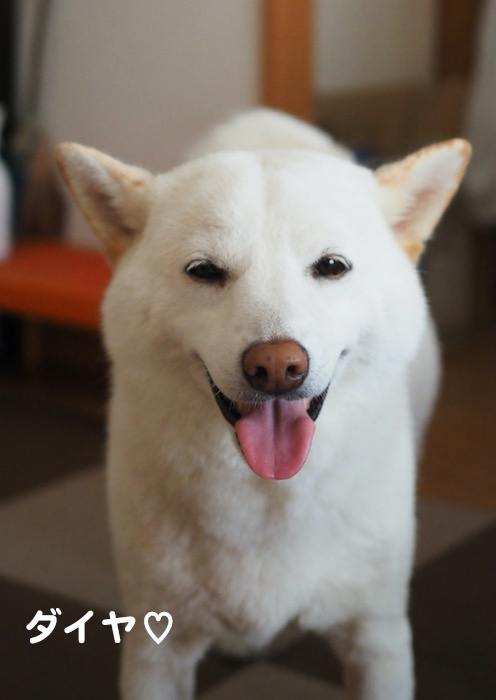 9日ブログ８
