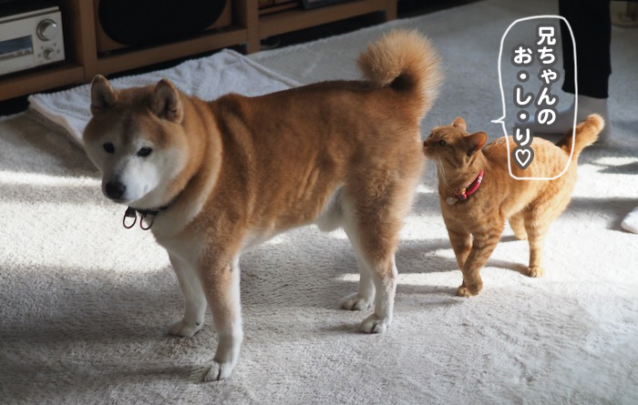 24日夕ブログ３
