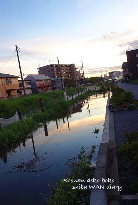 13日ブログ１