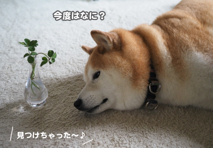14日午前ブログ１