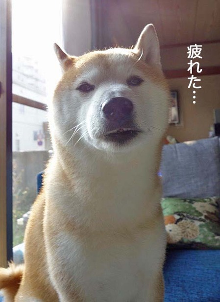 27日ブログ7