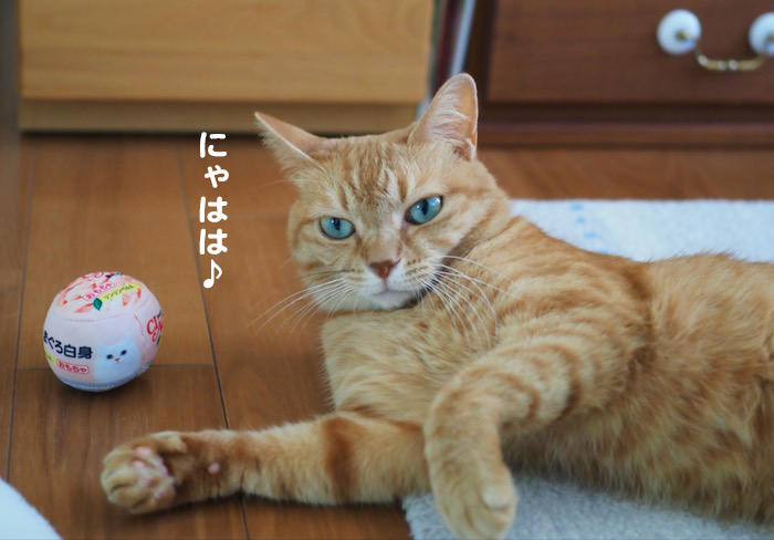 ３１日夕ブログ６