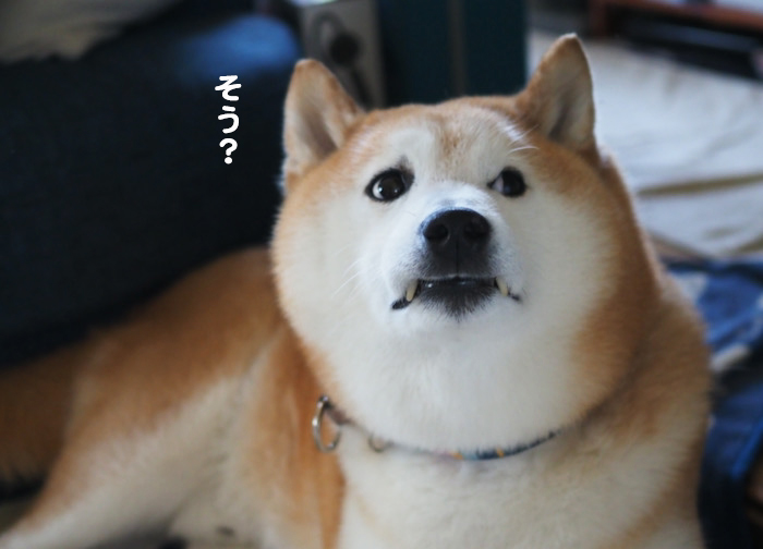 11日午前ブログ５