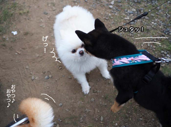 16日ブログ３
