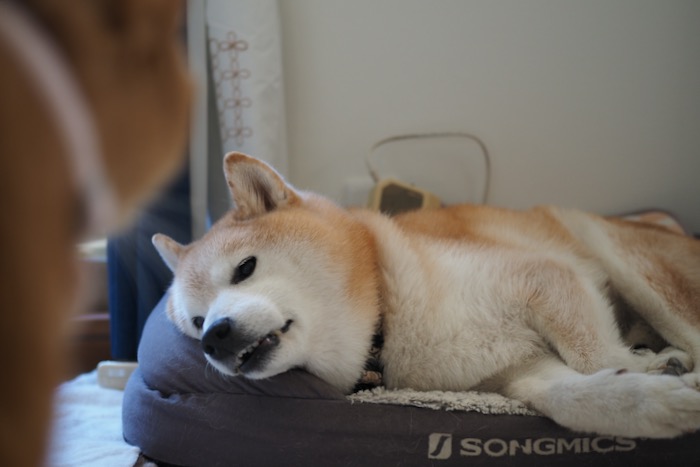 17日ブログ２