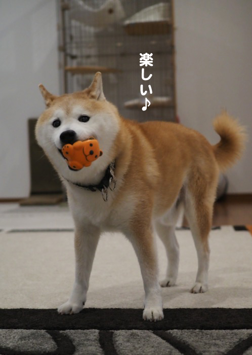 15日夜ブログ７